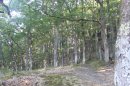 GR532, Nord-Est de St-Amarin
